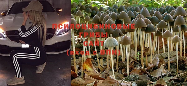 прущая мука Бронницы