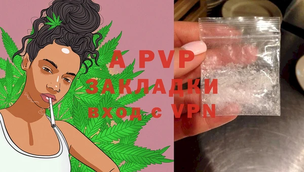 стафф Верхний Тагил