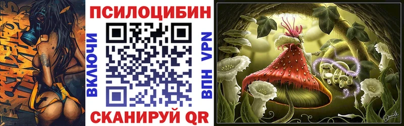 как найти наркотики Афипский Псилоцибиновые грибы GOLDEN TEACHER